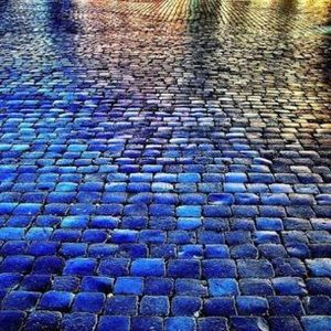 Meet your Posher, Carolind